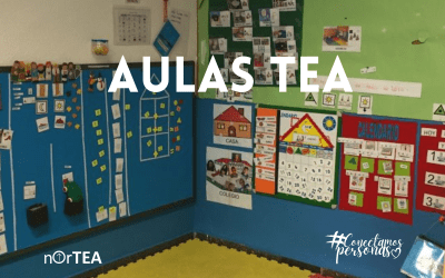 Educación del alumnado con autismo en aulas TEA